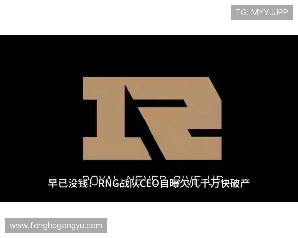 CSGO专题深度解析RNG战队的快速崛起与战术创新之路 CSGO专题深度解析RNG战队的快速崛起与战术创新之路
