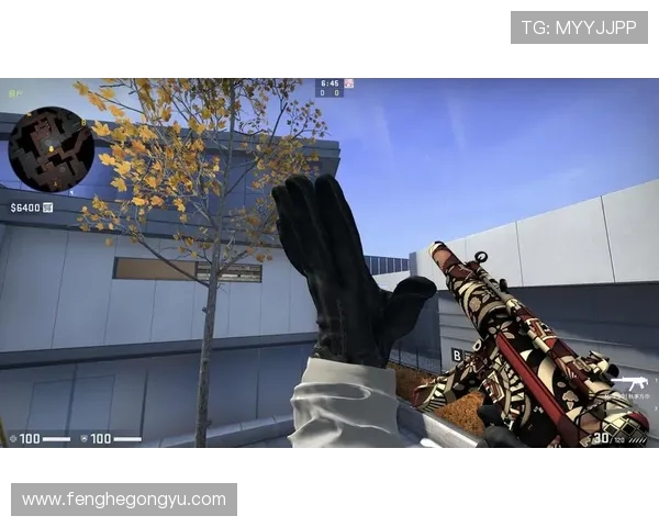 CSGO新手必看比赛经验分享与实用技巧全面指南 CSGO新手必看比赛经验分享与实用技巧全面指南