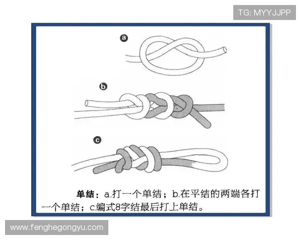 从零基础到高手:全面解析攀岩比赛的技巧与经验分享