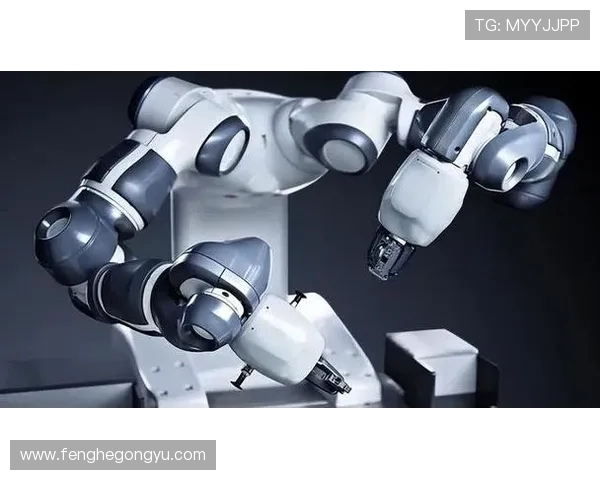 北京足球队转型之路的挑战与机遇深度解析与展望