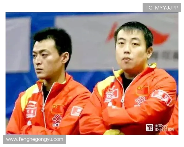 南京乒乓球队实力深度解析及各队员表现全面对比分析 南京乒乓球队实力深度解析及各队员表现全面对比分析