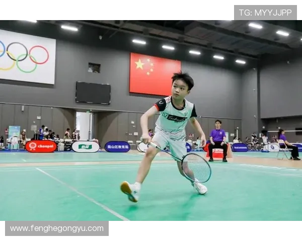 羽毛球耐力排名揭晓深圳羽毛球队荣获第五名佳绩