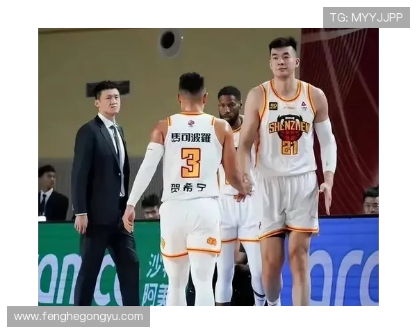 辽宁与青岛精彩对决全场回放分析与精彩瞬间回顾