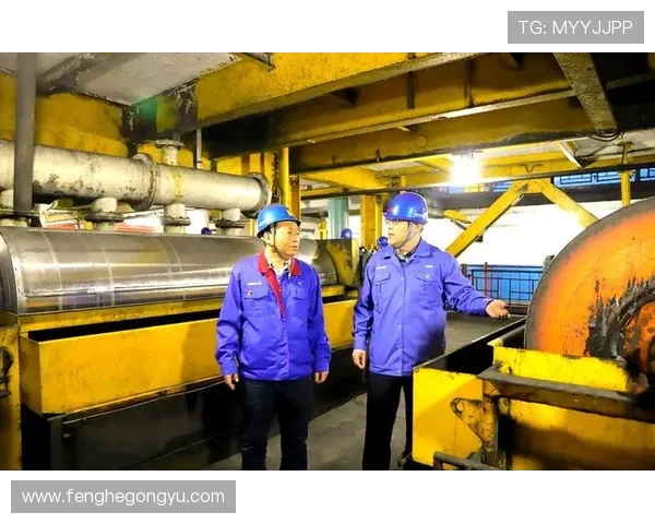 成都排球队快攻革新之路：战术变革与未来展望