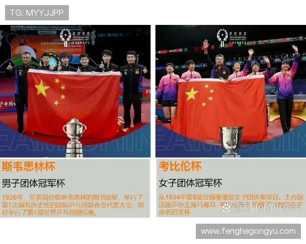 深圳乒乓球队在大满贯赛事中的实力分析与表现评估