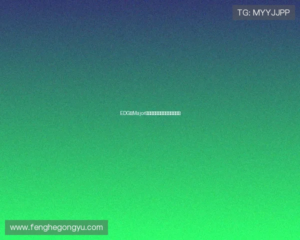 EDG在Major赛中的意识表现分析与战术解读