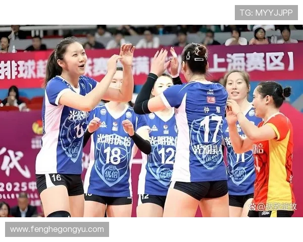 上海排球队实力强劲最新排球力量排行榜前十名揭晓