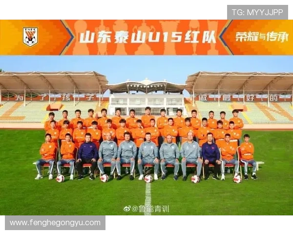 南京足球队的转型之路：从传统强队到现代化足球的深度解析