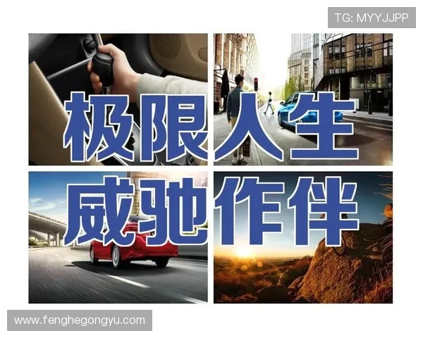 广州极限运动队意识对比深度剖析与发展趋势探讨