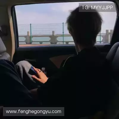 经新海